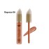 Christine Liquid Concealer Organza 06