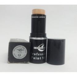 Christine Tv Paint Stick 3w