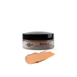 Christine Camouflage Derma X Makeup Base Shade No 36