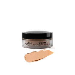 Christine Camouflage Derma X Makeup Base Shade No 38