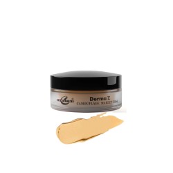Christine Camouflage Derma X Makeup Base Shade No 45 Christine Camouflage Derma X Makeup Base Shade No 45