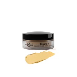 Christine Camouflage Derma X Makeup Base Shade No Ivory