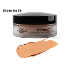 Christine Camouflage Derma X Makeup Base Shade No 36