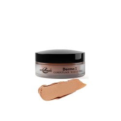 Christine Camouflage Derma X Makeup Base Shade No Oriental