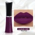 Clazona Lipsticks Matte Permanent Color lip Gloss 24 Hrs Stay 530