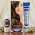 Color On Hair Color Synthetic Hair Dye Shade 4 Light Brown