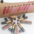 Medora Lipstick Matte Shade 540 Frivol