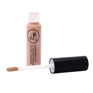 Rivaj UK Flawless Makeover Liquid Concealer Shade no 02