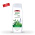 Saeed Ghani Neem and Mint Refresh Shampoo