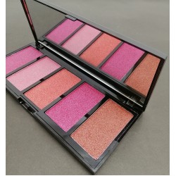 Sheaffer Cosmetics Mineralize 5 Color Highlighter Blush On Palette