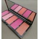 Sheaffer Cosmetics Mineralize 5 Color Highlighter Blush On Palette