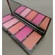 Sheaffer Cosmetics Mineralize 5 Color Highlighter Blush On Palette
