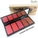 Sheaffer Cosmetics Mineralize 5 Color blusher Matte Blush On Palette