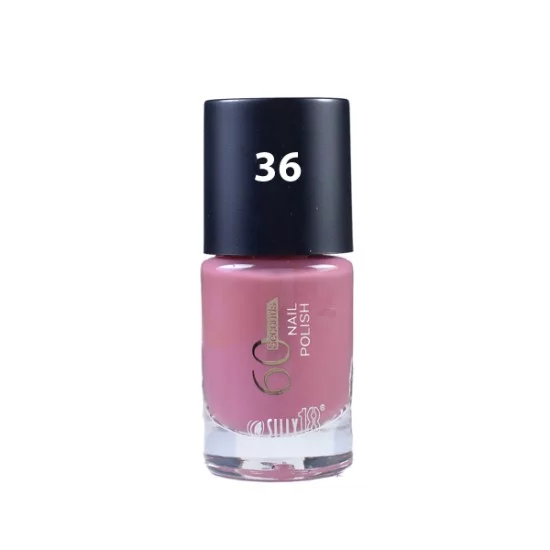 Silly 18 Nail Polish 60 Second Matte Shade No 36