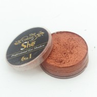 Colors Of She Multi Purpose Creamy Interferenz Eye shadow Highlighter 29