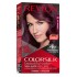 Revlon Colorsilk Hair Color 34 Deep Burgundy