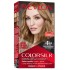 Revlon Colorsilk Hair Color 61 Dark Blonde