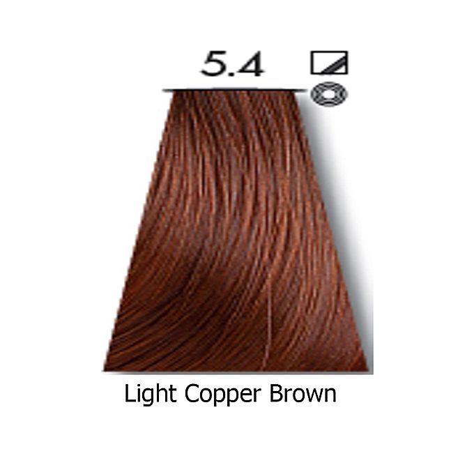 Buy Cream Walnut Brown 54 Pack of 2 Hair Color Walnut Brown 54 online   Looksgudin